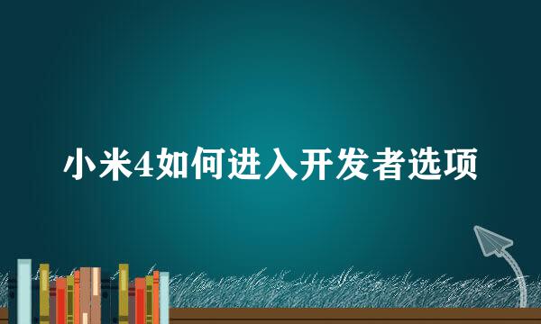 小米4如何进入开发者选项