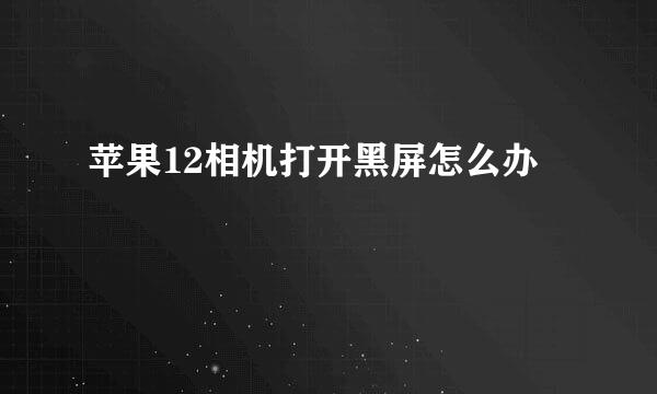 苹果12相机打开黑屏怎么办
