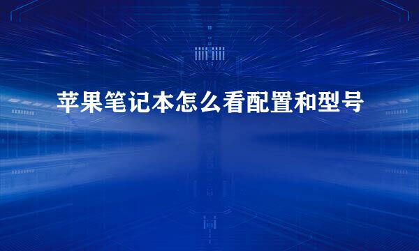 苹果笔记本怎么看配置和型号