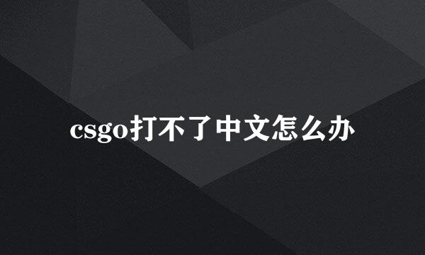csgo打不了中文怎么办