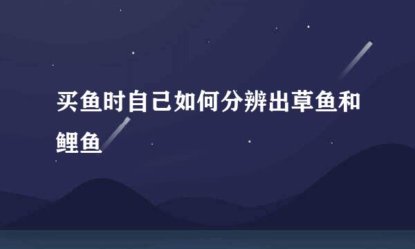买鱼时自己如何分辨出草鱼和鲤鱼