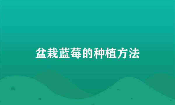 盆栽蓝莓的种植方法