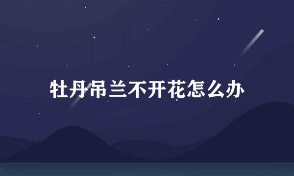 牡丹吊兰不开花怎么办
