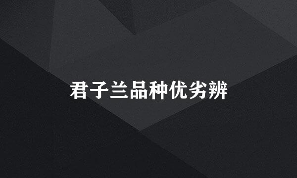 君子兰品种优劣辨
