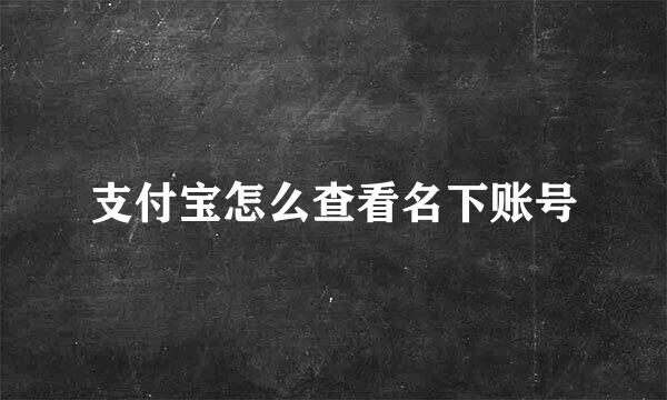支付宝怎么查看名下账号