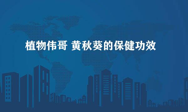 植物伟哥 黄秋葵的保健功效