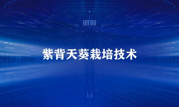 紫背天葵栽培技术