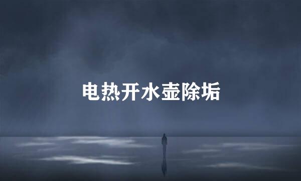 电热开水壶除垢