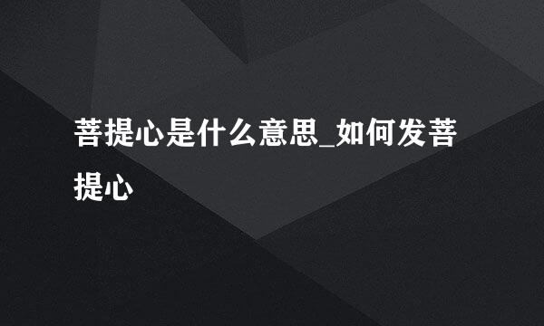菩提心是什么意思_如何发菩提心