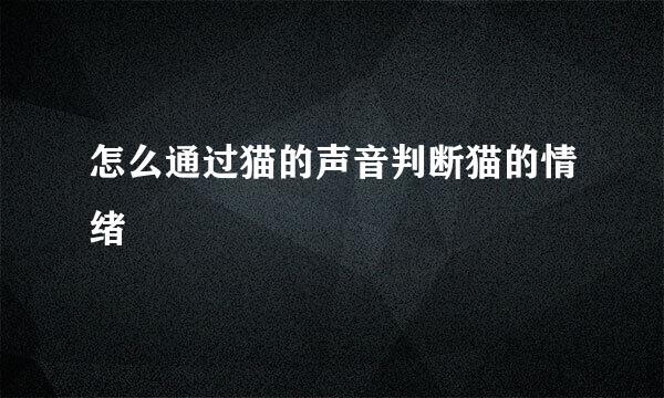 怎么通过猫的声音判断猫的情绪