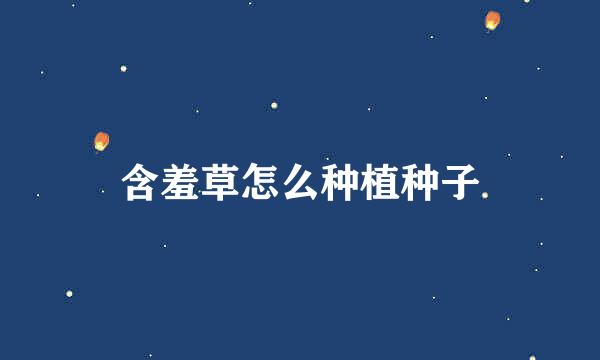 含羞草怎么种植种子
