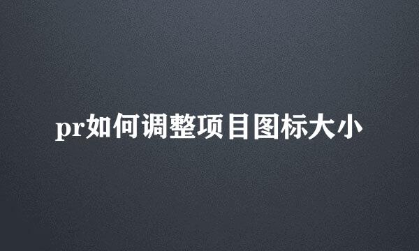 pr如何调整项目图标大小