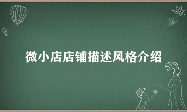 微小店店铺描述风格介绍