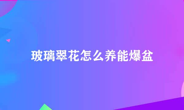 玻璃翠花怎么养能爆盆