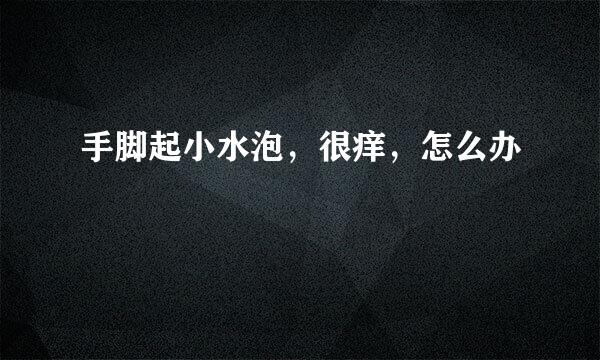 手脚起小水泡，很痒，怎么办