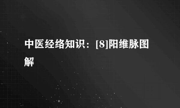 中医经络知识：[8]阳维脉图解