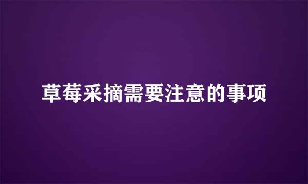 草莓采摘需要注意的事项