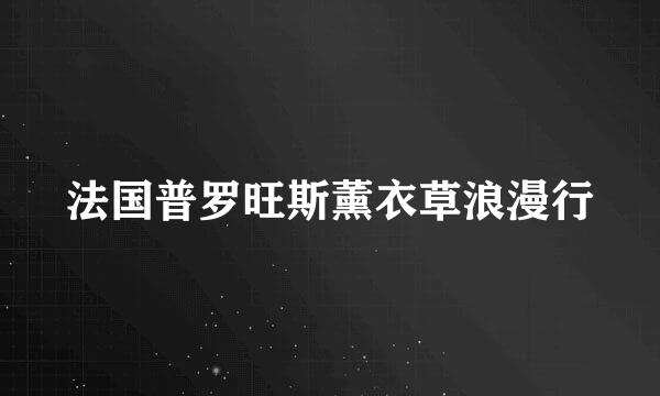 法国普罗旺斯薰衣草浪漫行