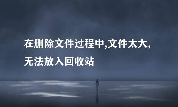 在删除文件过程中,文件太大,无法放入回收站