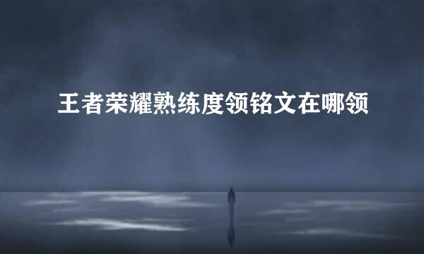 王者荣耀熟练度领铭文在哪领