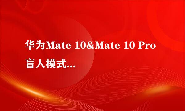 华为Mate 10&Mate 10 Pro盲人模式无障碍TalkBack怎么使用