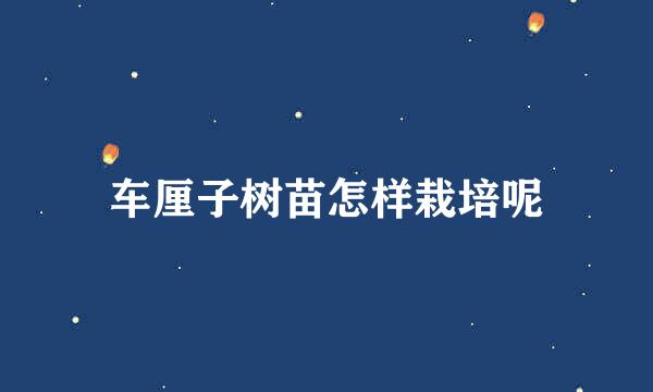 车厘子树苗怎样栽培呢