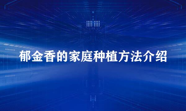 郁金香的家庭种植方法介绍