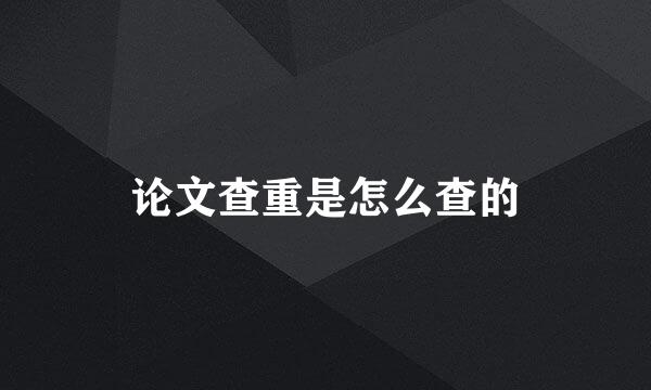 论文查重是怎么查的