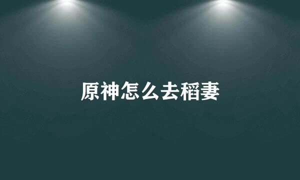 原神怎么去稻妻