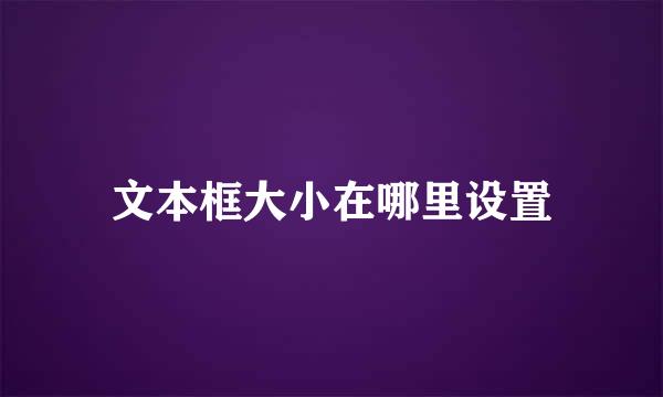 文本框大小在哪里设置