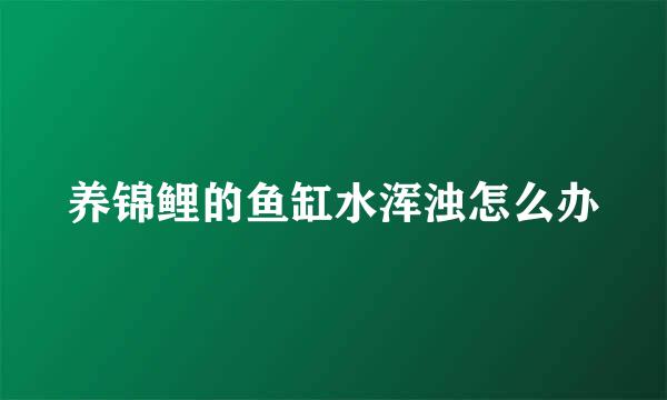 养锦鲤的鱼缸水浑浊怎么办
