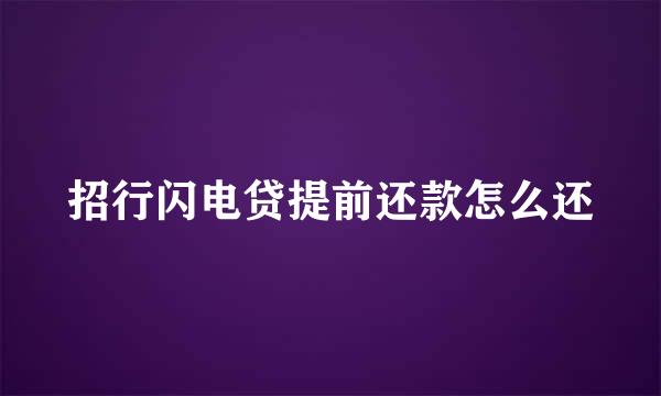 招行闪电贷提前还款怎么还