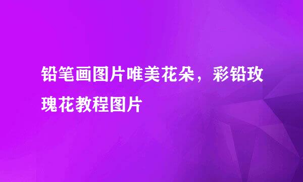 铅笔画图片唯美花朵，彩铅玫瑰花教程图片