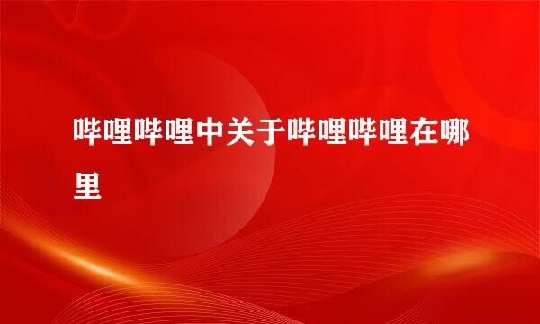 哔哩哔哩中关于哔哩哔哩在哪里