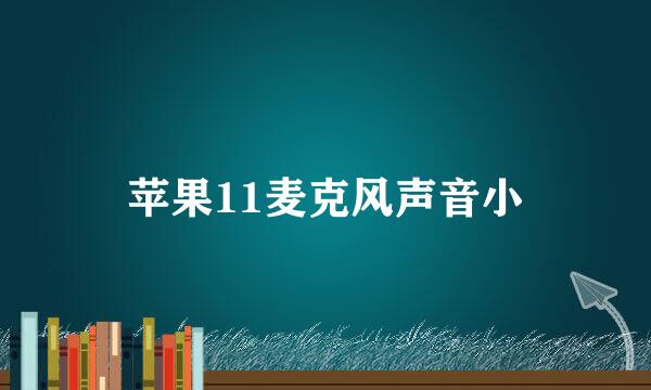 苹果11麦克风声音小
