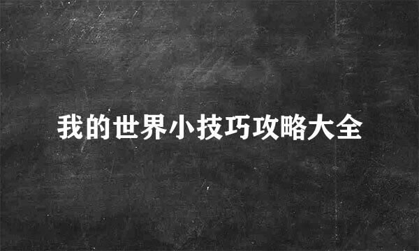我的世界小技巧攻略大全