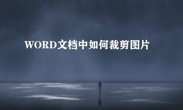 WORD文档中如何裁剪图片