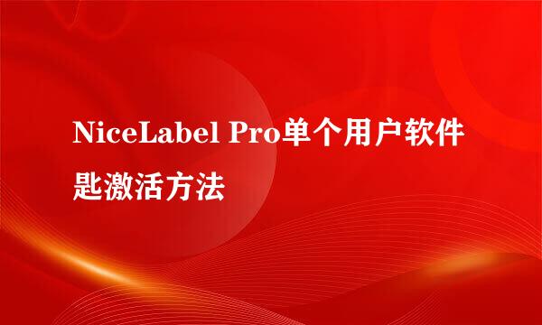 NiceLabel Pro单个用户软件匙激活方法