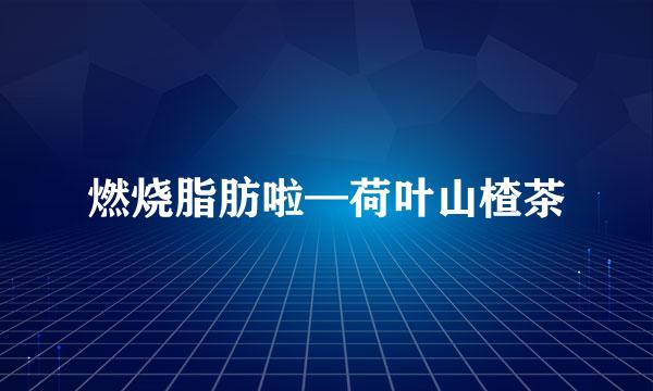 燃烧脂肪啦—荷叶山楂茶