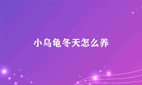 小乌龟冬天怎么养