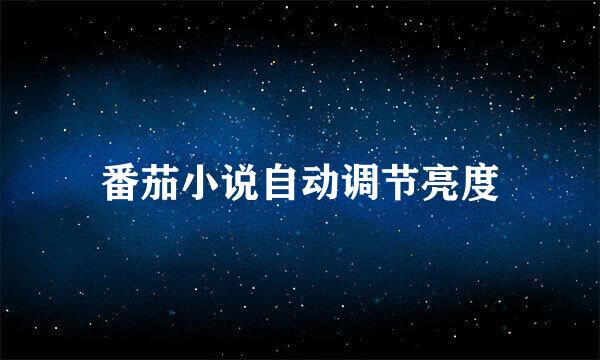番茄小说自动调节亮度
