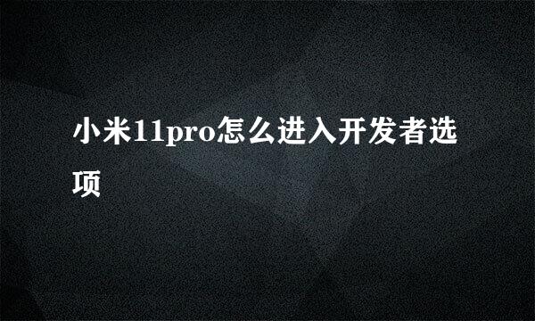 小米11pro怎么进入开发者选项