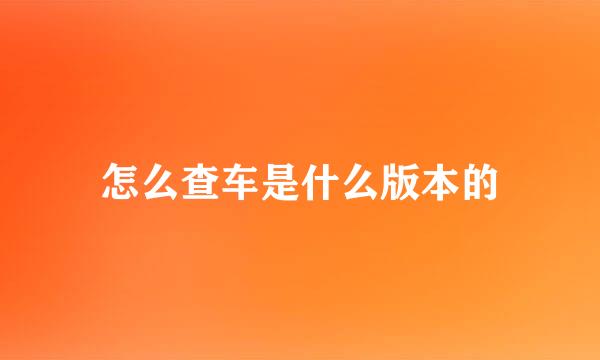 怎么查车是什么版本的