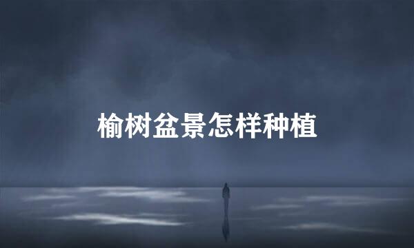 榆树盆景怎样种植