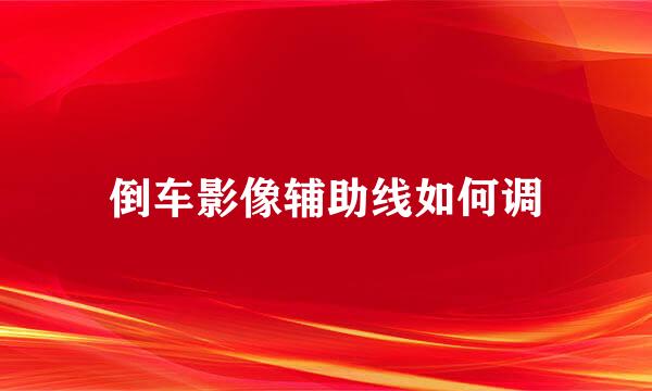 倒车影像辅助线如何调