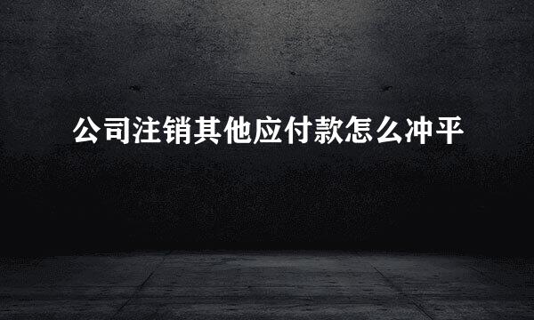 公司注销其他应付款怎么冲平