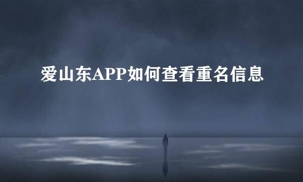 爱山东APP如何查看重名信息