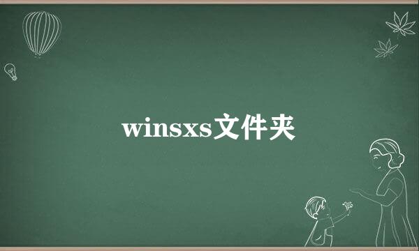 winsxs文件夹