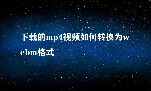 下载的mp4视频如何转换为webm格式