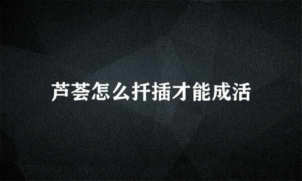 芦荟怎么扦插才能成活